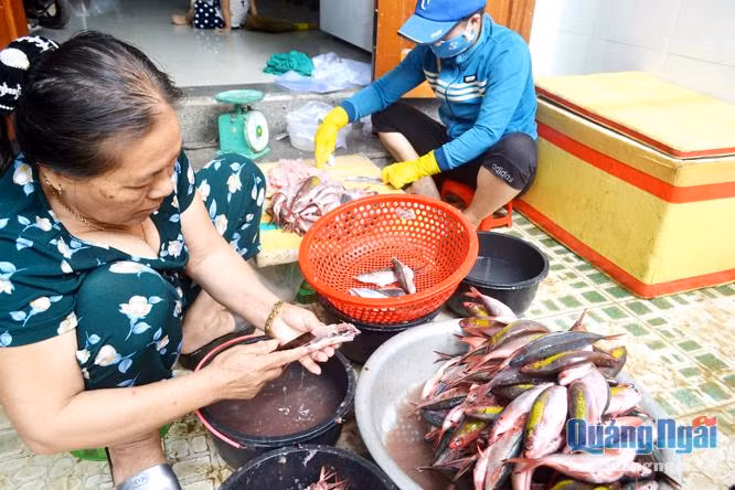 Chỉ có loại cá đỏ mới được người dân làng chả cá Định Tân lựa chọn để chế biến thành chả.