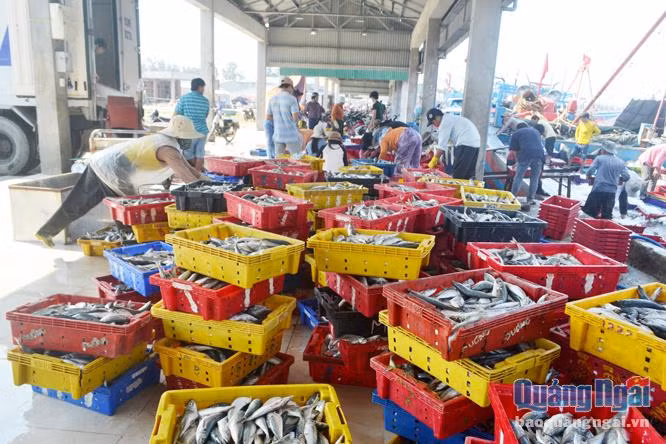 Lang cha ca Dinh Tan voi nghe cao thit ca "do lua"