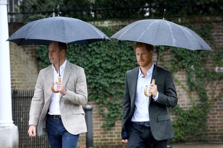 Hai Hoàng tử cũng đã gặp những tổ chức từ thiện sinh thời Công nương Diana là người bảo trợ như Quỹ Quốc gia về Phòng chống AIDS, Bệnh viện Great Ormond Street...