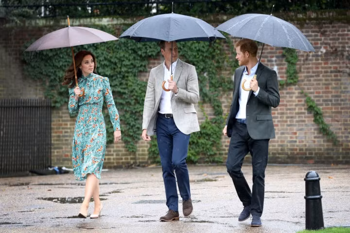 "Vào buổi sáng, bà ấy sẽ đi ra ngoài để đi dạo và dừng lại để trò chuyện với những người làm vườn.