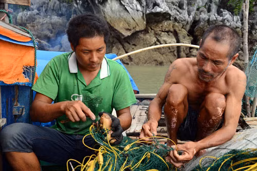 Cau ky san cu ky - loai hai san gia tri vo song o bien Quang Ninh
