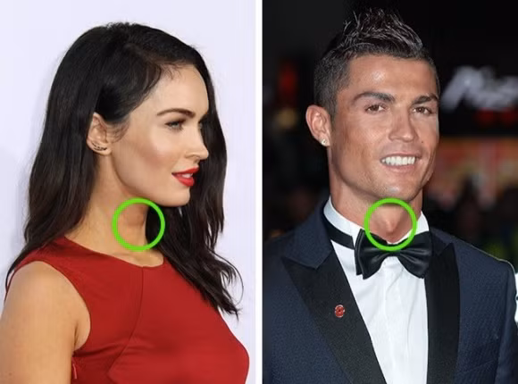 Không chỉ nam giới mà ở phụ nữ cũng có yết hầu, có điều nó không lồi ra ngoài nhiều bằng ở nam.