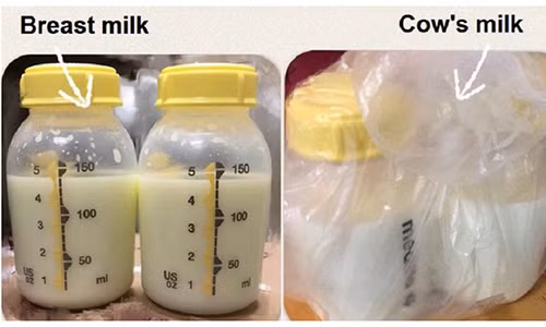 Nguoi dan ong hau toa vi uong trom sua me cua dong nghiep