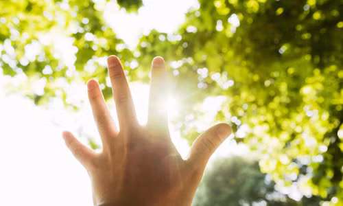 Kham pha nhung tuong tran thong minh lam nen dieu kiet xuat