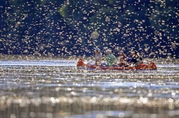 Kinh ngac truoc nhung hien tuong thien nhien ngoan muc nhat TG-Hinh-9