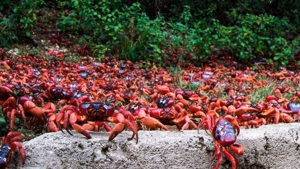 Kinh ngac truoc nhung hien tuong thien nhien ngoan muc nhat TG-Hinh-4