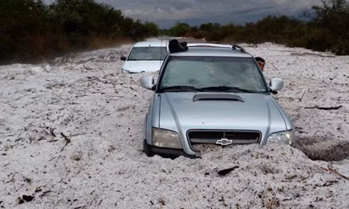 Mua da roi day 1,5m nhu tan the o Argentina