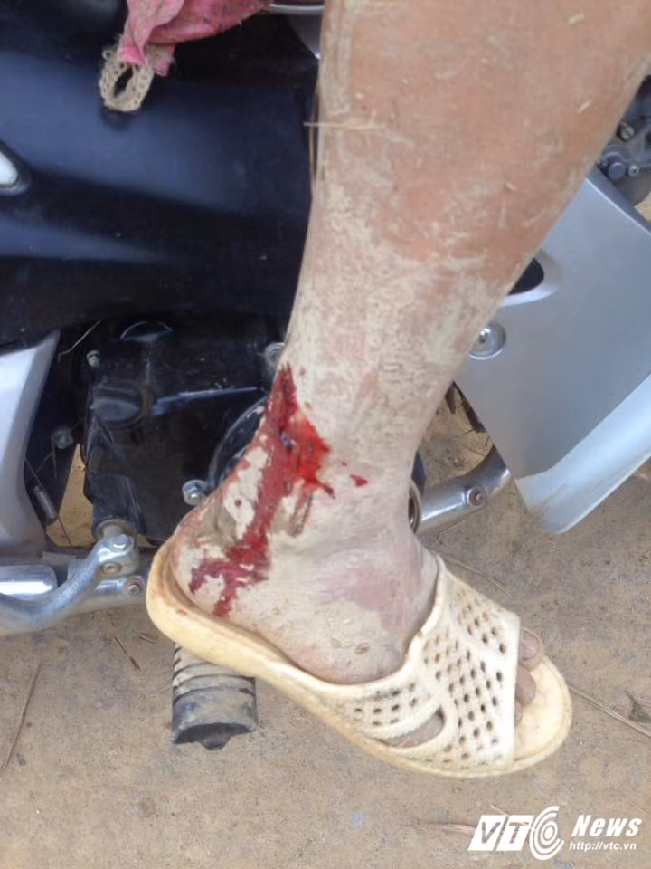 Xe trau vuot lu song Ngan Sau cong lua ve nha-Hinh-3