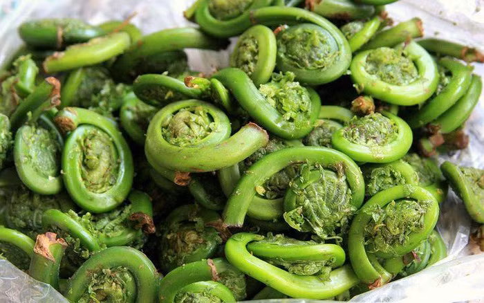 Phat hien them loai rau truong tho moc day o Viet Nam-Hinh-2