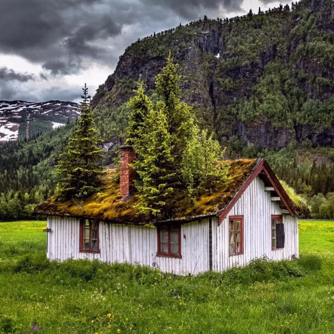 Một ngôi nhà bỏ hoang tại vùng ngoại ô ở Na Uy.