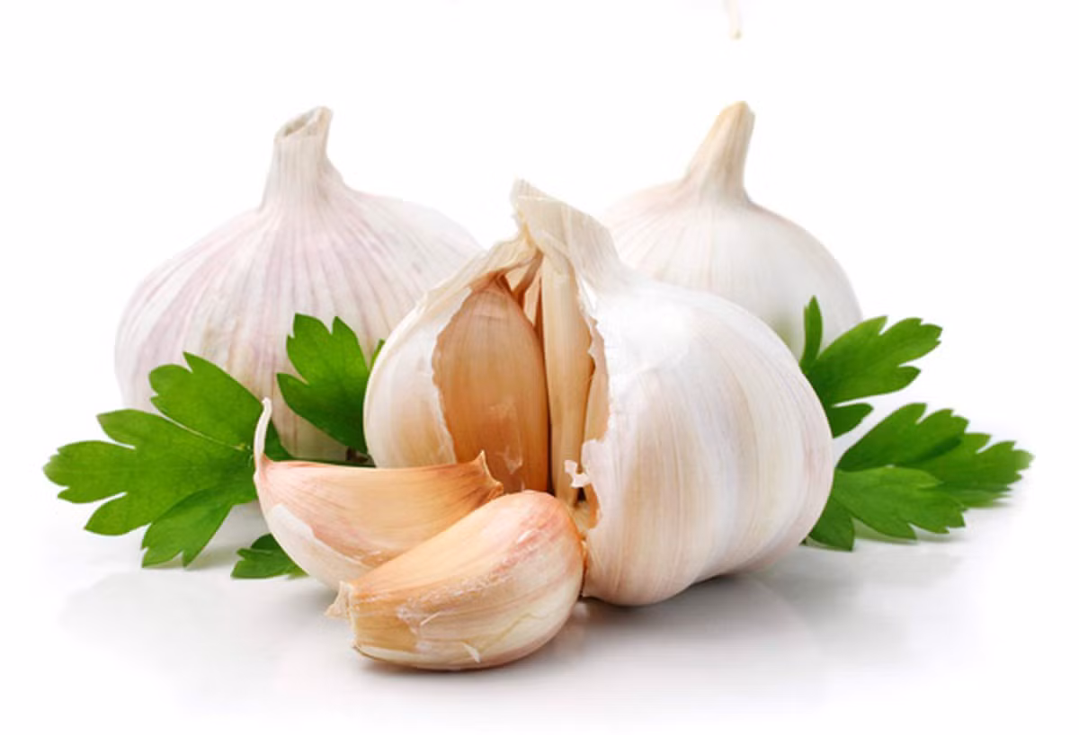 Tỏi (Allium sativum): Tỏi được sử dụng từ rất lâu đời, người ta dùng làm gia vị trước khi được sử dụng nó làm thuốc chữa bệnh. Những nghiên cứu sau này chứng minh việc sử dụng tỏi chính là một biện pháp bảo vệ dạ dày khỏi sự tấn công của xoắn khuẩn HP (Helicobacter Pylori).