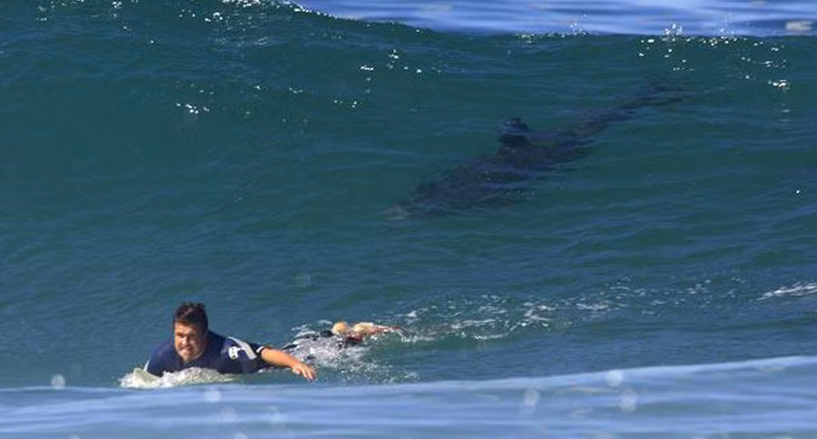 Đảo Reunion, lãnh thổ thuộc Pháp: Nằm ở Ấn Độ Dương, hòn đảo này là một trong những nơi diễn ra nhiều vụ cá mập tấn công nhất thế giới. Chính phủ đã phải cấm bơi lội và lướt sóng để bảo vệ người đi biển. Ảnh: Wide Open Spaces.