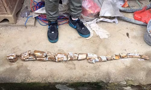 Hóa thạch ngà voi được phát hiện ở Thiểm Tây, Trung Quốc. Hóa thạch ngà voi được phát hiện ở Thiểm Tây, Trung Quốc.