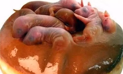 Nhung mon an kinh di nhat lich su do Tu Hy Thai Hau nghi ra