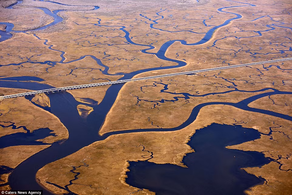 Jubilee Parkway ở Alabama (Mỹ) là một cặp cầu song song, mỗi cầu có hai làn đường. Cầu dài 12 km, được hoàn thành năm 1978.