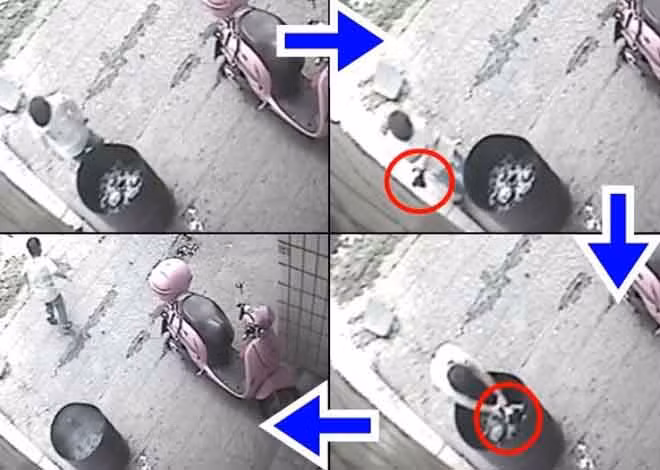 Chu cho bi thieu song oan uc trong thung hoa vang o TQ