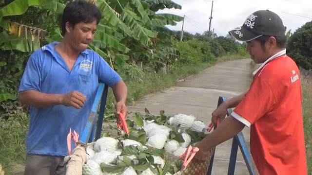 Roi nuoc mat khi ban 6kg oi doi duoc ly tra da