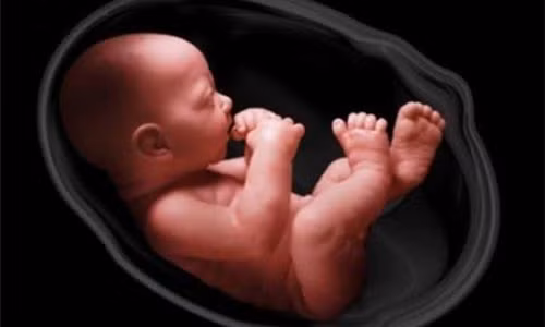 7 loi cuc ky sai lam cua me bau khien thai nhi bi di tat