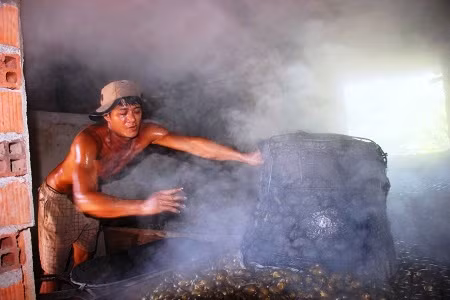 Để có hàng kịp cung ứng, gia đình ông phải thuê xe cùng nhân công vào tận Bến Tre để thu mua cau.Ảnh: D.T