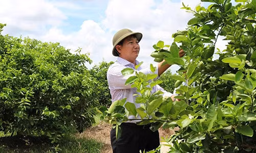 Chuyen nguoi “vat chanh khong bo vo”