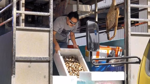 Dien vien chuyen tri vai cuong hao ac ba tai TVB nay lam nghe ban ca-Hinh-3