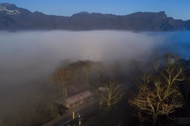 Nơi đây có 3.767 loài cây có mạch, hơn 600 loài động vật có xương sống, cùng 4.365 loài côn trùng.