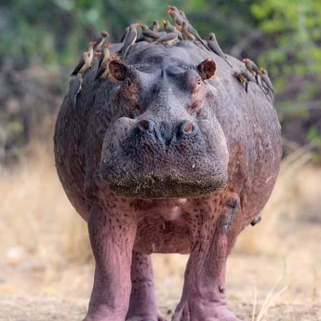 7. Sinh học. Với sự bùng nổ của ngành công nghệ sinh học, khoảng 89,2% sinh viên ra trường vào năm học 2014-2015 nhanh chóng có việc làm.