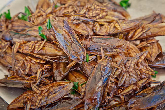 2.Con trùng chiên: Gián, châu chấu, dế...được bắt trên cánh đồng tự nhiên để đem lại hương vị tuyệt vời nhất, chúng được đem chiên giòn, sau đó thêm các gia vị như bột ớt, muối để hương vị được thơm ngon hơn.
