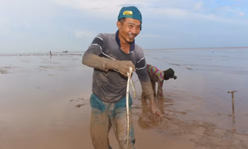 "Cao thu" Tien Giang san ca chinh mo, moi chuyen kiem 3 trieu dong
