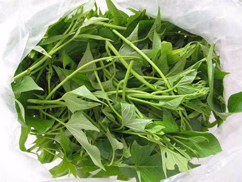 Tuyệt chiêu làm món rau khoai lang xào tỏi trị nhiều bệnh Tuyet chieu lam mon rau khoai lang xao toi tri nhieu benh