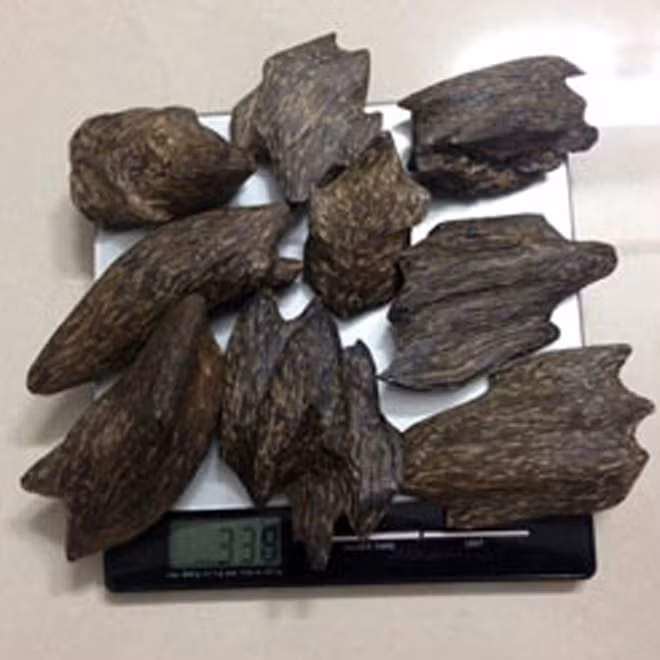 Nhung “sieu go” khien ca dai gia va dan buon phat cuong-Hinh-2