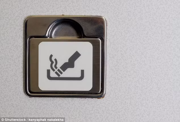 Gạt tàn: Việc hút thuốc bị cấm trên máy bay hiện đại, nhưng chúng vẫn cần phải có gạt tàn mới được phép hoạt động theo quy định. Nguyên nhân cho điều này là để đề phòng tình huống hành khách lén hút thuốc trong nhà vệ sinh. Gạt tàn được lắp cạnh bồn cầu như một phương án an toàn dự phòng.