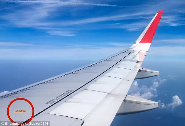 Nhung mon do co the cuu mang khach di may bay