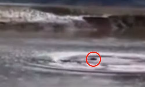 Quai vat bi an xuat hien o ho nuoc tai Trung Quoc gay xon xao