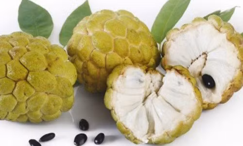 Nhung nguoi nay can tuyet doi noi khong voi qua na