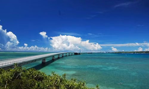 Vua cau hon thanh cong, roi xuong cau thiet mang