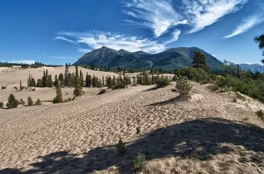 Sa mạc nhỏ nhất thế giới – Sa mạc Carcross, Canada Sa mạc Carcross được ghi nhận là sa mạc nhỏ nhất thế giới. Khí hậu khô và gió mạnh đã tạo nên những đụn cát khô cằn. Sa mạc này chỉ có diện tích khoảng 2,6 km vuông. Không phải là sa mạc thông thường là bởi nó thực ra là một vùng cát lớn hình thành cuối Kỷ Băng hà, khi các hồ băng xuất hiện. Theo thời gian, những hồ băng này bốc hơi và để lộ ra lớp cát dưới đáy hồ như ta thấy ngày nay.