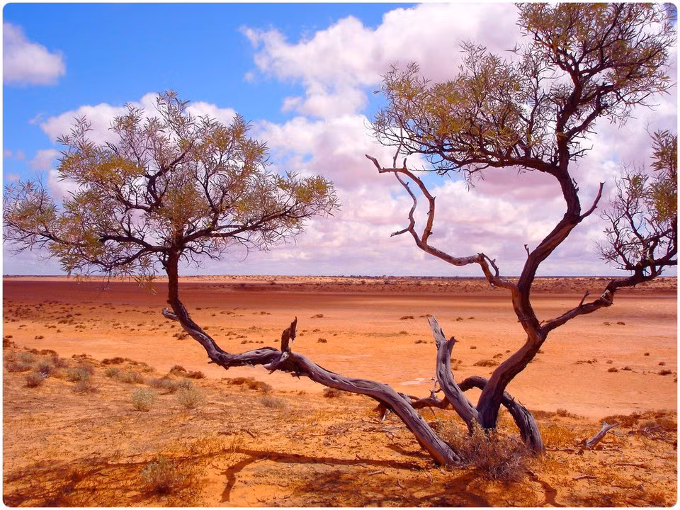 Sa mạc Simpson, Úc Sa mạc Simmson của Úc còn được biết đến với tên "sa mạc đỏ", vì cát ở đây có màu đỏ cam rực rỡ khác lạ. Màu sắc này là do thành phần cao sắt III oxit trộn lẫn trong cát, dưới nắng trời chói chang cho ra kết quả. Nhưng đây hoàn toàn không phải một điểm đến du lịch thú vị, vì sức nóng kinh khủng của nó vào mùa hè. Chính phủ Úc cũng ban lệnh cấm, người nào đặt chân vào sa mạc Simpson sẽ bị phạt 1.000 đô la Úc.