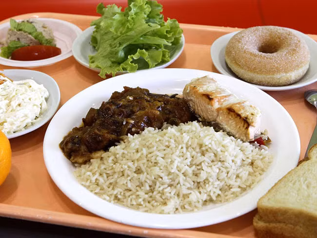 Lambersart, Pháp: Một bữa trưa ngon lành gồm cơm, cá hồi, rau hầm, 1 lát bánh mì, salad với cần tây và cà rốt, 1 quả cam và 1 chiếc bánh rán.