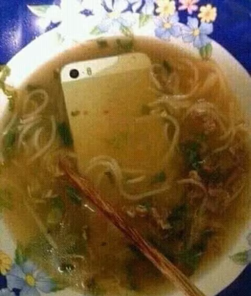 Đã ăn mì tôm rồi còn bị "cướp" luôn em "dế yêu" thế này thì sống sao.