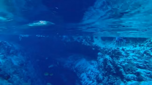 Tiến sĩ Alfonso Amores đã tử vong trong lần lặn thứ 6 vào năm 2014, khi anh không thể thoát ra khỏi lối vào nhỏ hẹp của một hang ngầm nằm sâu 40m dưới mặt nước.