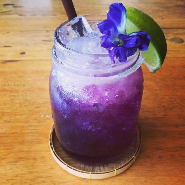 Giới trẻ phát cuồng với công thức trà hoa đậu biếc "uống là phê" - Hình 3 Gioi tre phat cuong voi cong thuc tra hoa dau biec "uong la phe"-Hinh-3