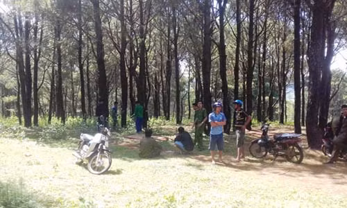 Nam thanh nien tu vong trong tu the treo co tren cay thong