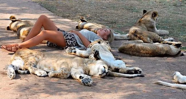 Mình phải canh gác cho mọi người có giấc ngủ ngon.