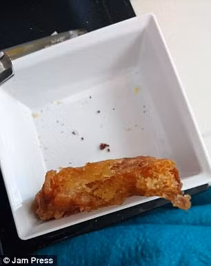 Những phần thức ăn "tí hon" khó tin.