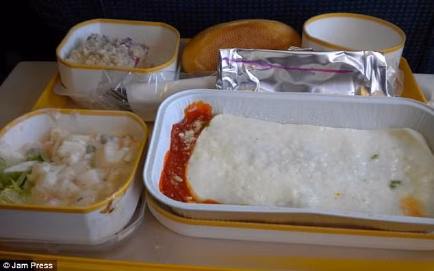 Ở độ cao 10.000m thì thật khó để giữ cho món lasagna nóng hổi nhưng dường như nó... chưa được nấu chín.