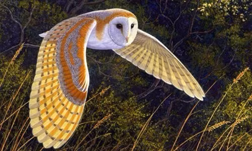 Ảnh minh họa. Nguồn: Internet.