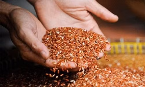 Su that chi an gao lut muoi me se khoi ung thu?