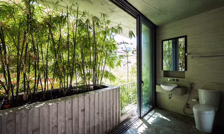 Ngoài việc trồng tre trên mặt tiền, vân tre còn được sử dụng để trang trí trên các bồn cây.