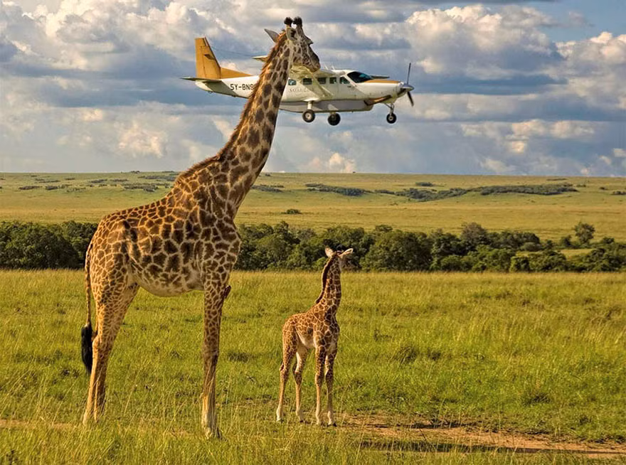 Sự trùng hợp nhiều khi mang đến nhiều điều thú vị. Ảnh: Graeme Guy.